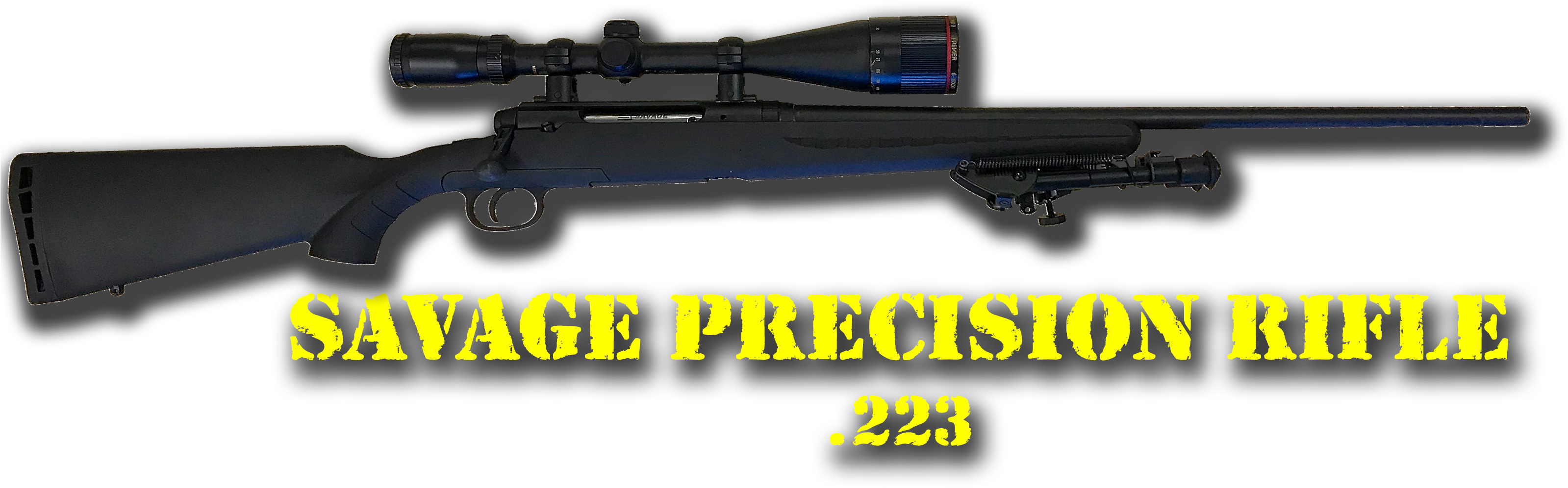 Savage Precision Rifle223 PNG Image