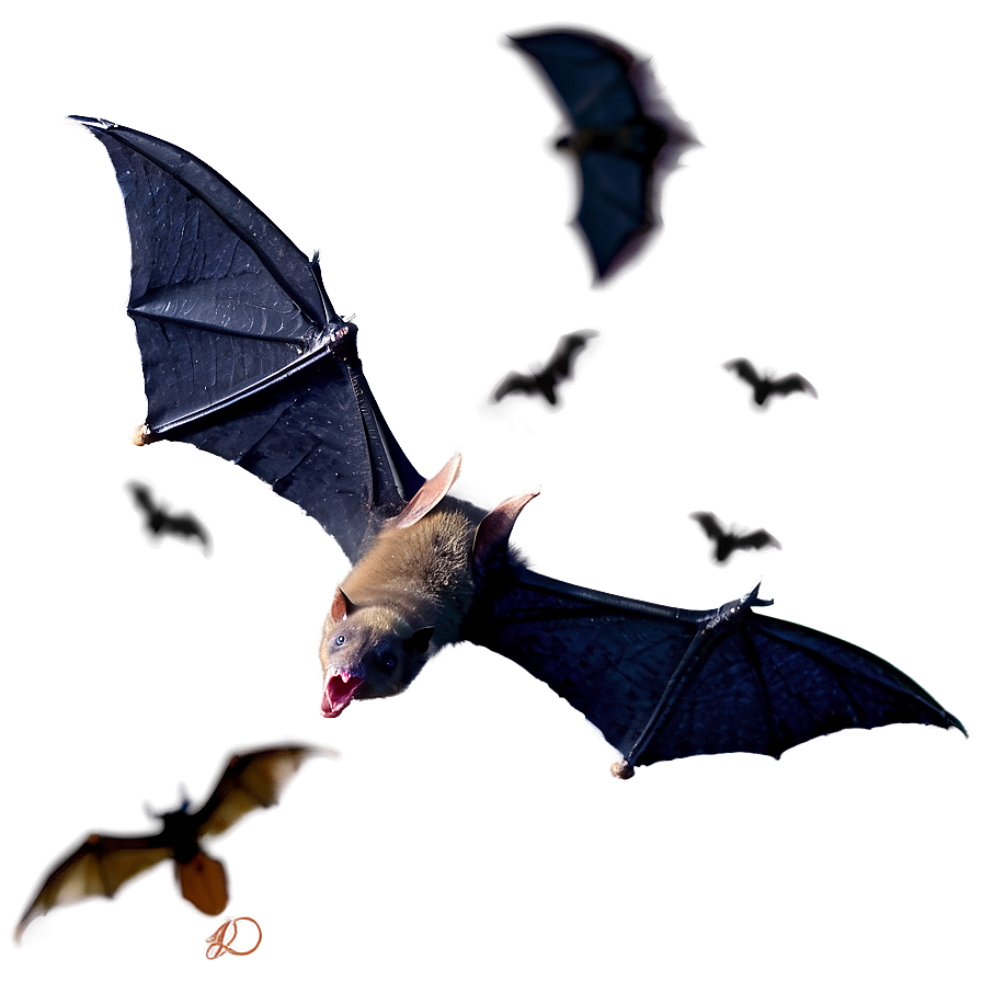 Scary Bats Flight Png 6 PNG Image