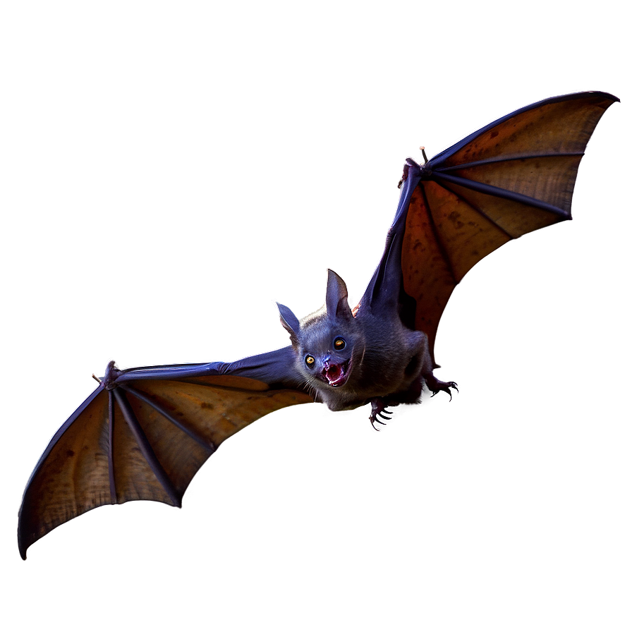 Scary Bats Flight Png Ska92 PNG Image