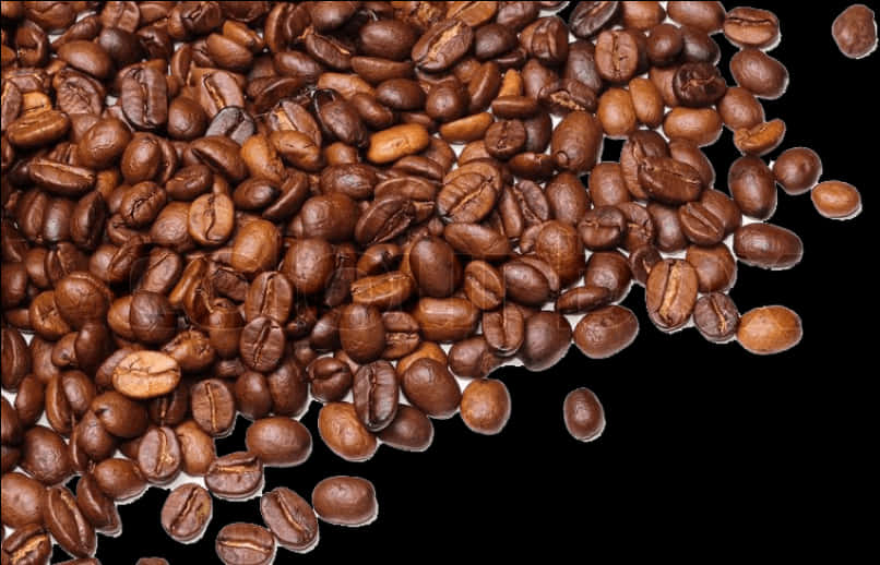 Scattered Coffee Beans Background PNG Image