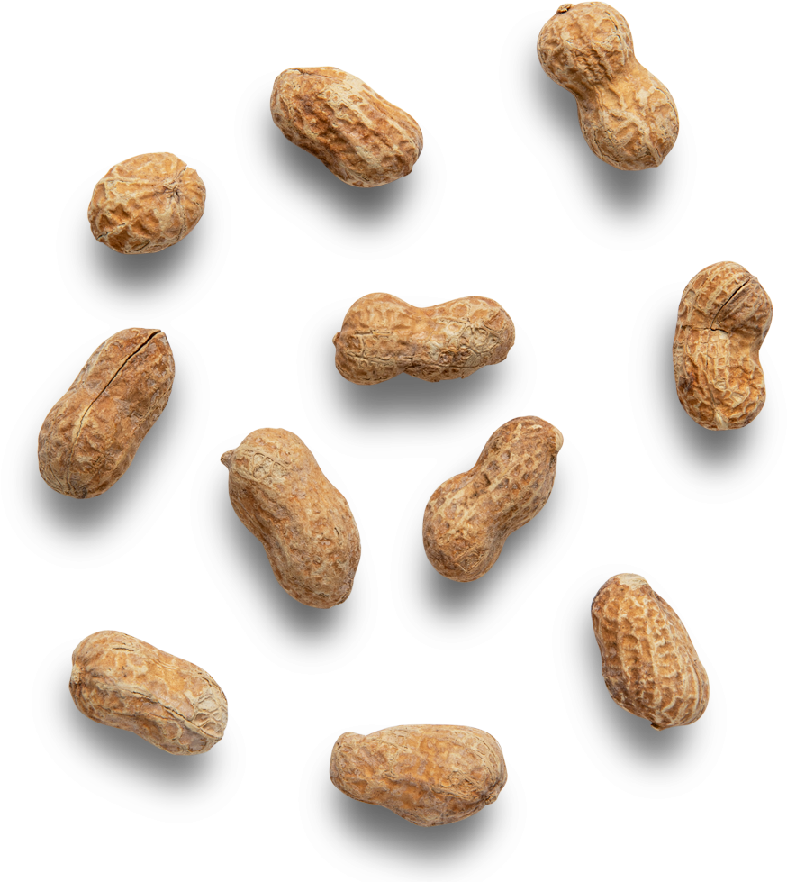 Scattered Peanutson Dark Background PNG Image