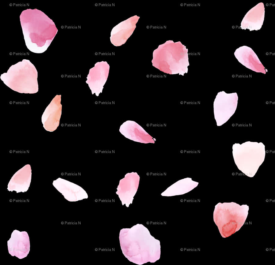 Scattered_ Rose_ Petals_ Pattern PNG Image