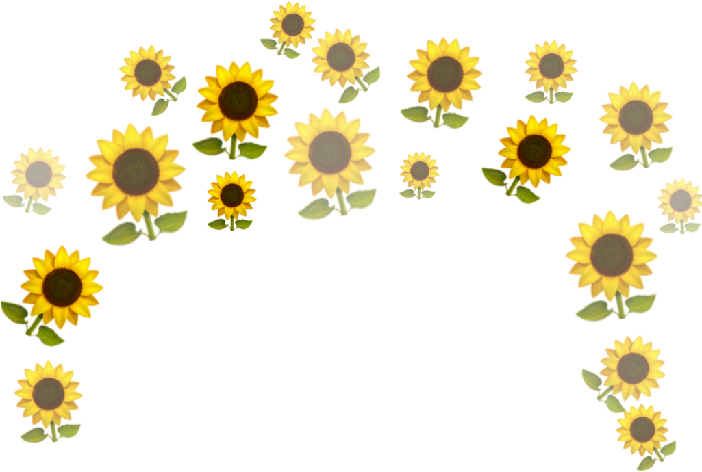 Scattered Sunflowerson Teal Background PNG Image