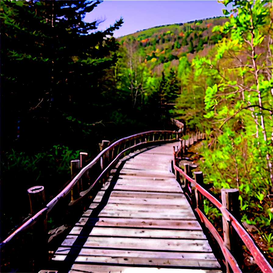 Scenic Hiking Trails Maine Png 06202024 PNG Image