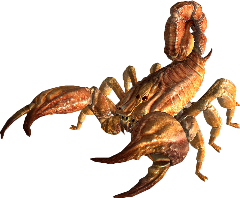 Scorpion_ Pose_3 D_ Render PNG Image