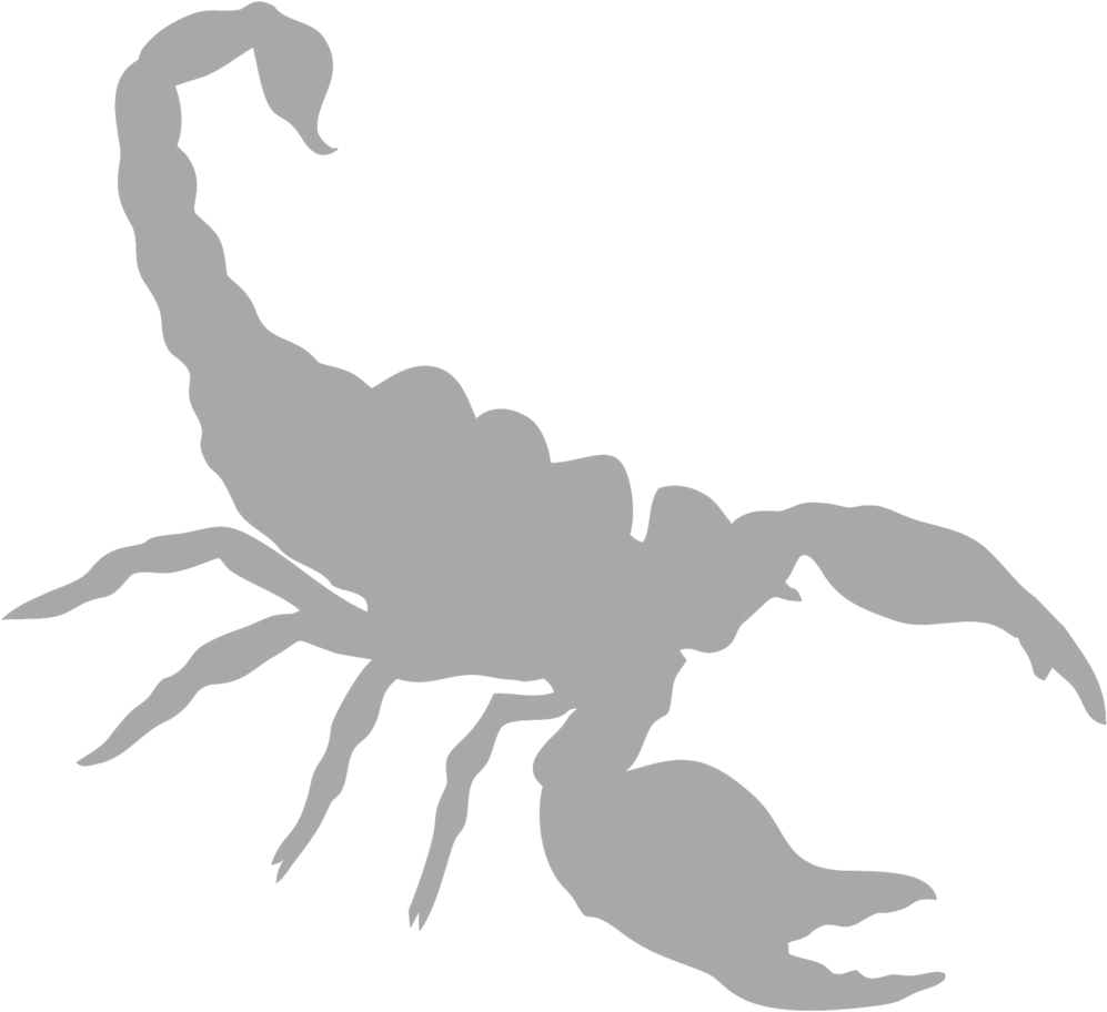 Scorpion Silhouette Graphic PNG Image