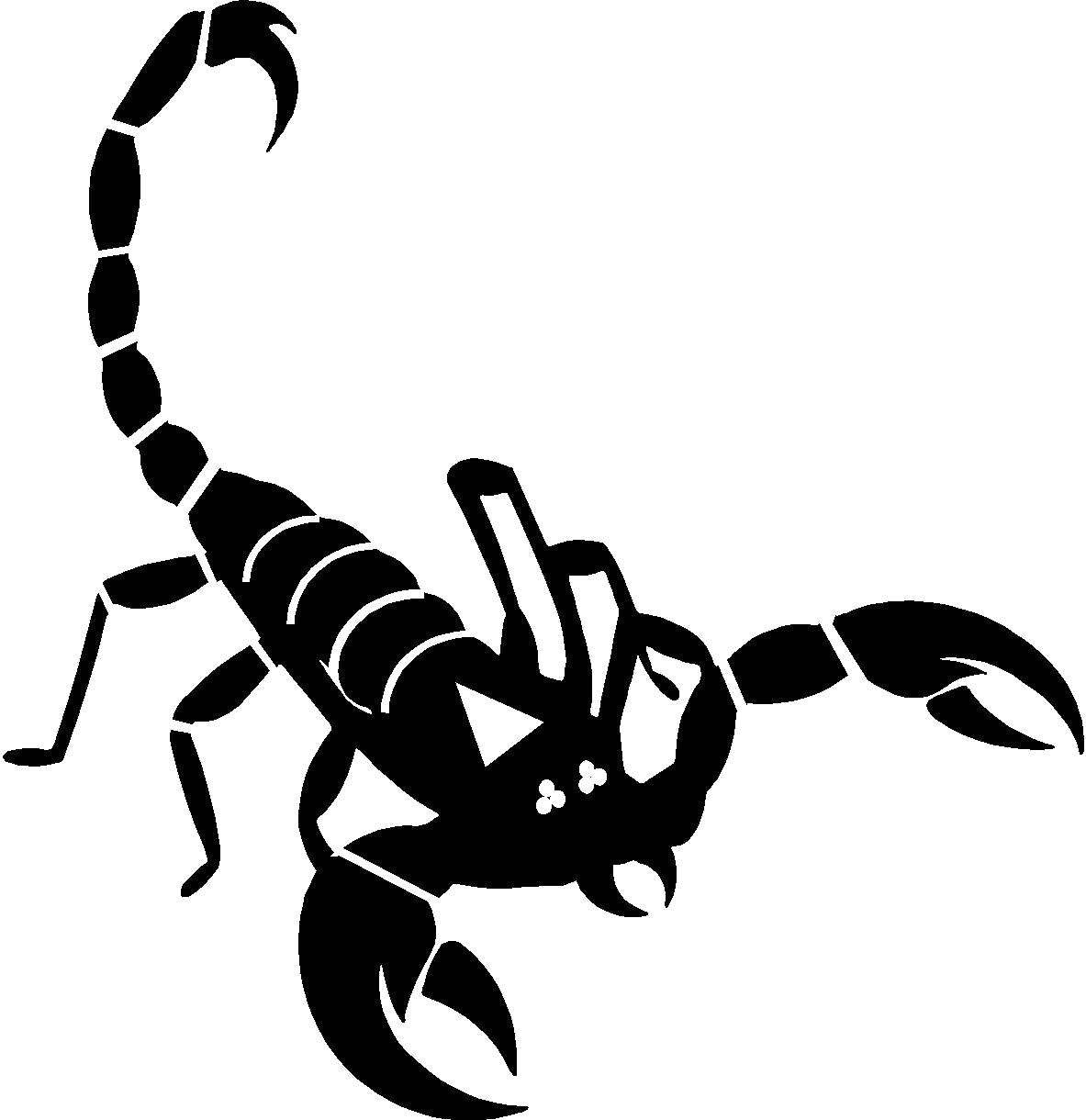 Scorpion_ Silhouette_ Vector PNG Image