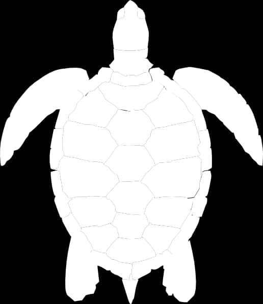 Sea Turtle Silhouette Graphic PNG Image