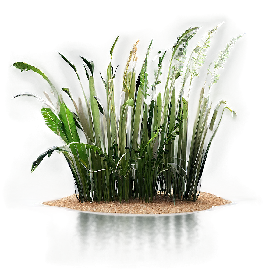 Seagrass Background Png 06292024 PNG Image