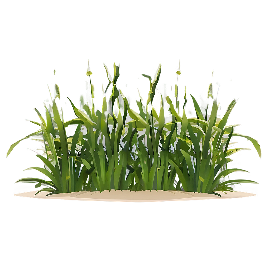 Seagrass PNG Images - PNGImages.com