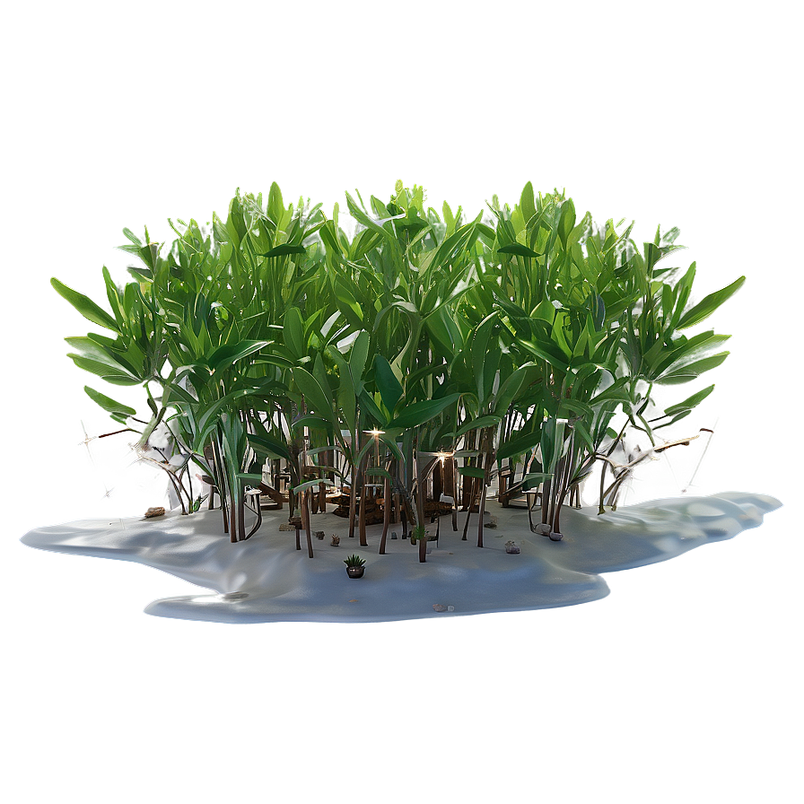 Seagrass Field Png Lfm93 PNG Image