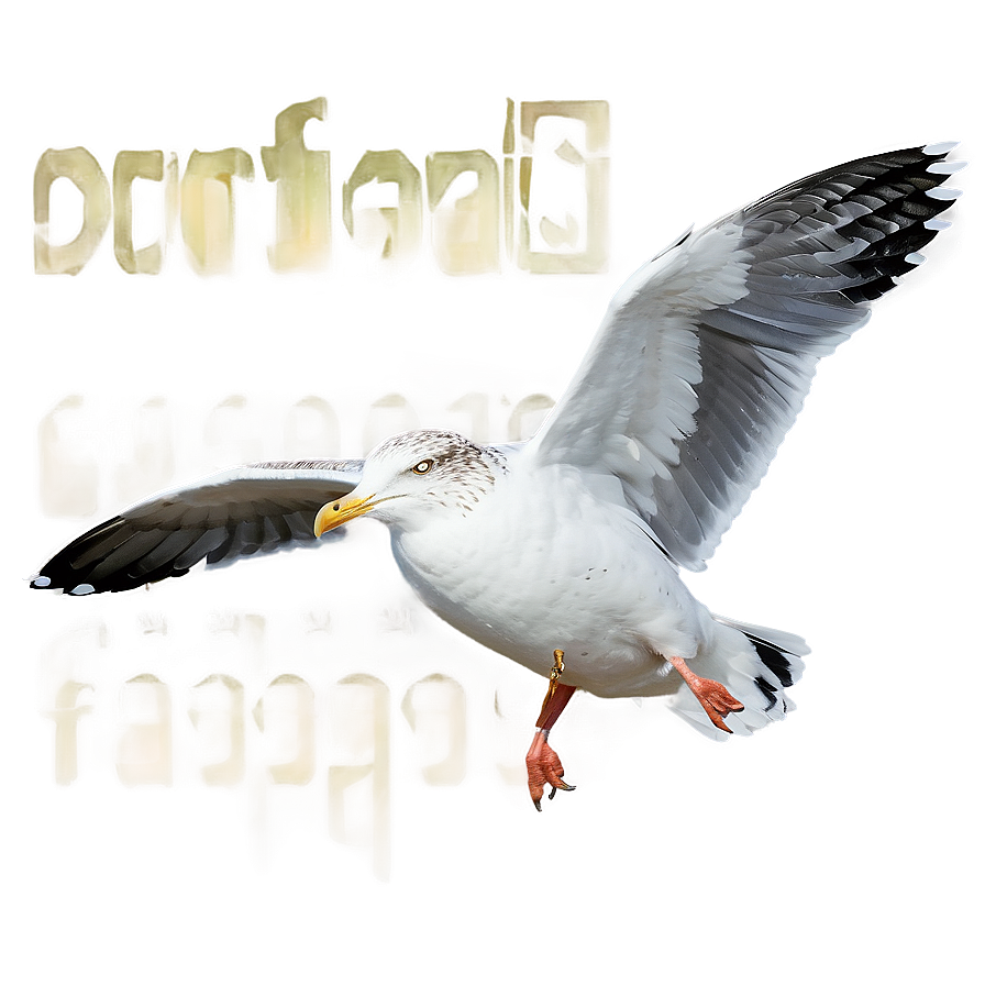 Seagull Flying High Png Grw PNG Image