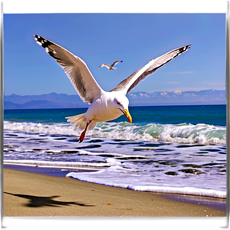 Seagulls Flying Beach Png 05212024 PNG Image