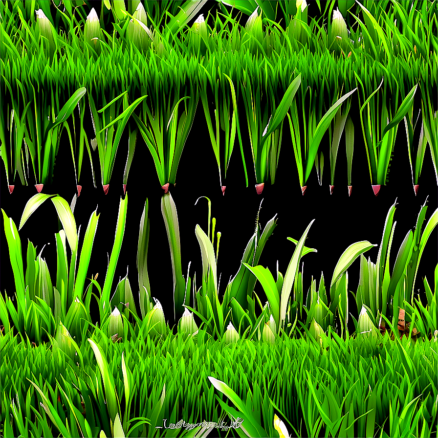 Seamless Green Grass Pattern Png Vtc75 PNG Image