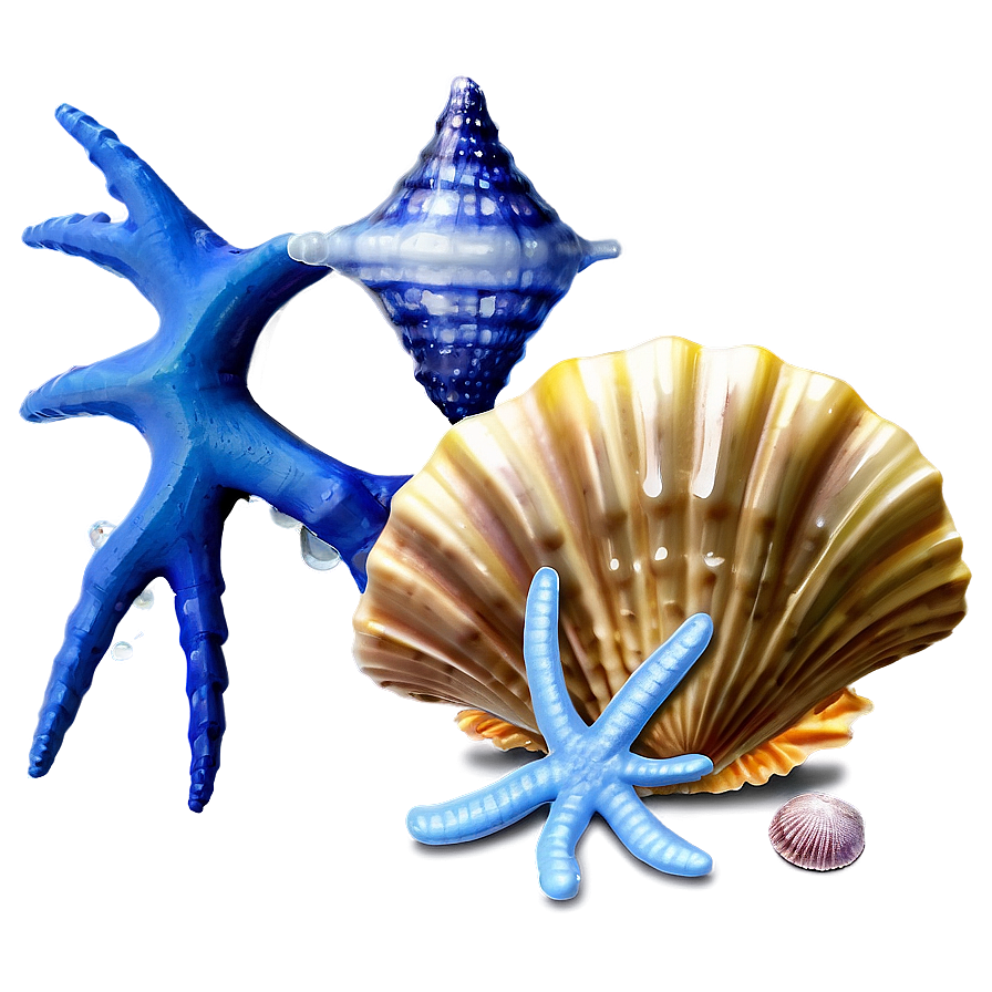 Seashell And Starfish Png Img PNG Image