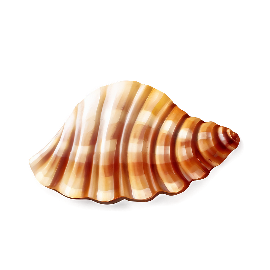 Seashell Cartoon Image Png Snv91 PNG Image