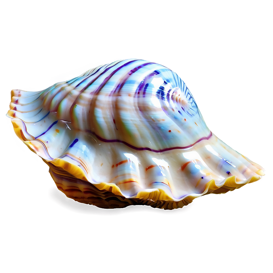 Seashell Underwater Picture Png 23 PNG Image