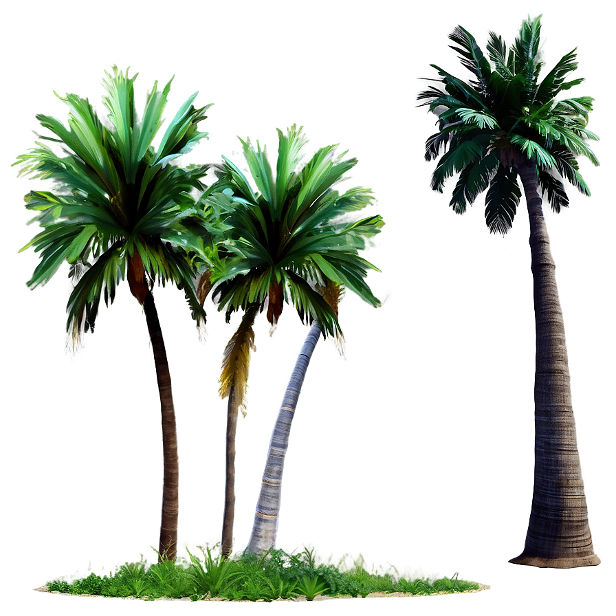 Seaside Palms View Png Ast PNG Image