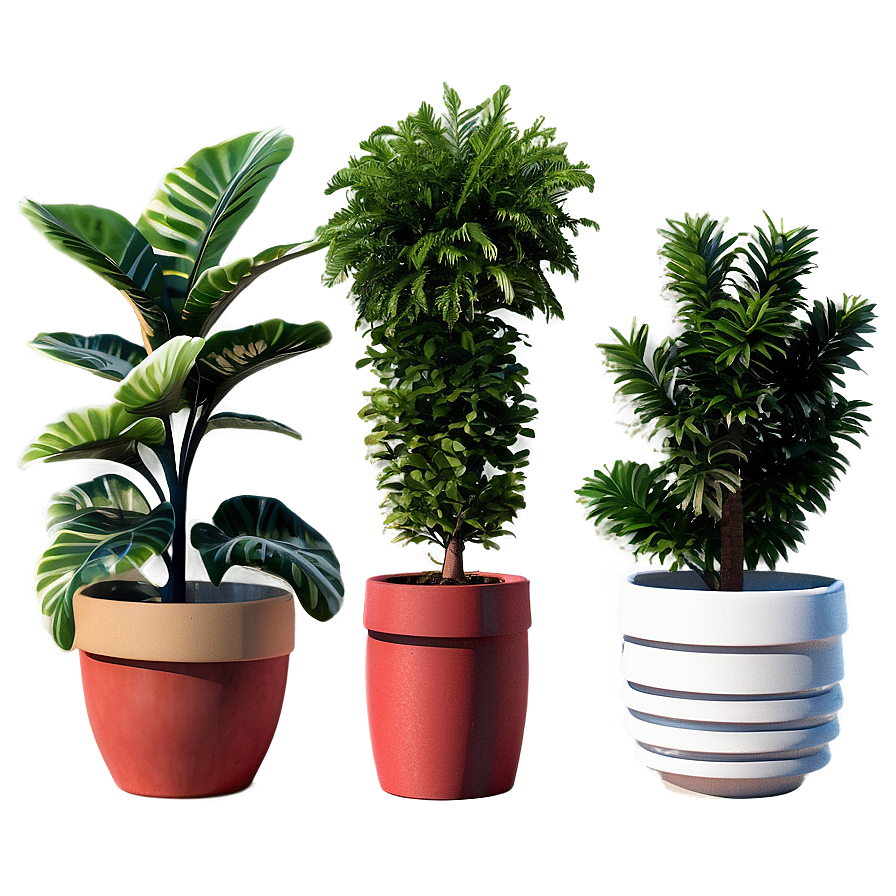 Seasonal Potted Plants Png 06122024 PNG Image