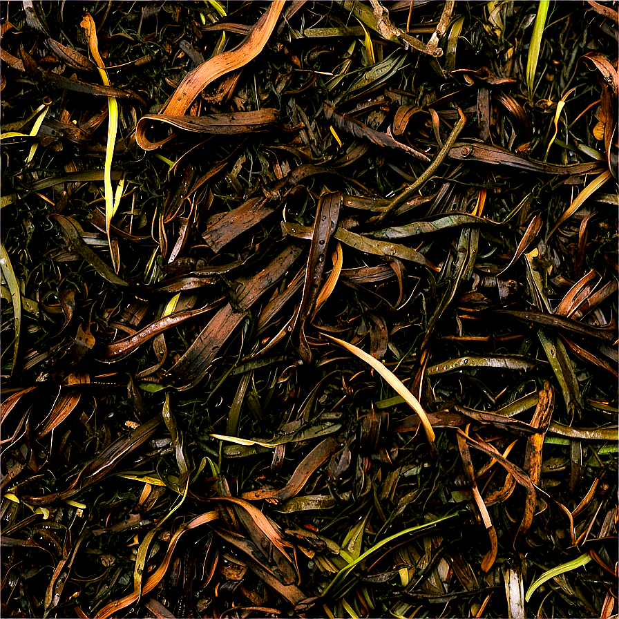 Seaweed And Salt Marsh Mulch Png Qtd42 PNG Image