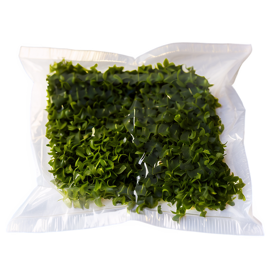 Seaweed Eco-friendly Packaging Png 05242024 PNG Image