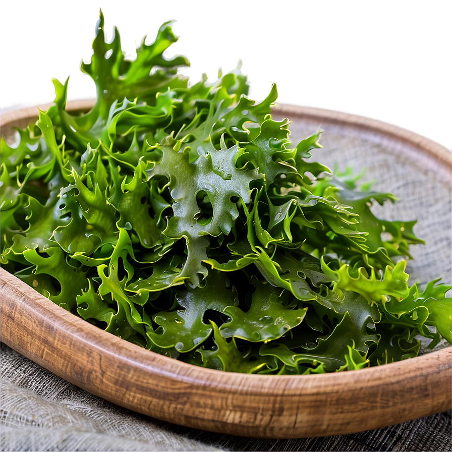 Seaweed Nutritional Benefits Png 33 PNG Image