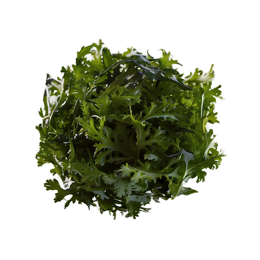 Seaweed Salad Ingredient Png 3 PNG Image