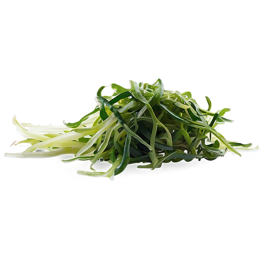 Seaweed Salad Ingredient Png 64 PNG Image