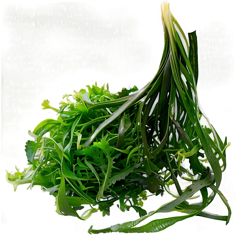 Seaweed Salad Ingredient Png Qfy PNG Image