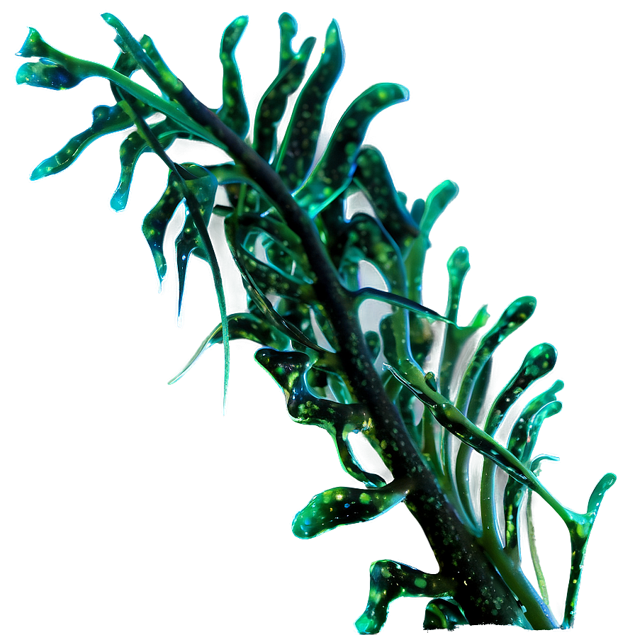 Seaweed Strand Texture Png 71 PNG Image