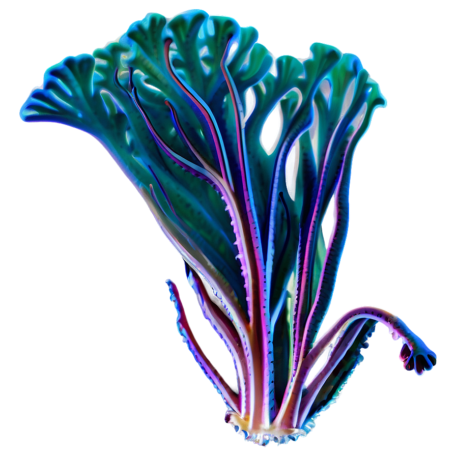 Seaweed Under Sea Png Jnk64 PNG Image