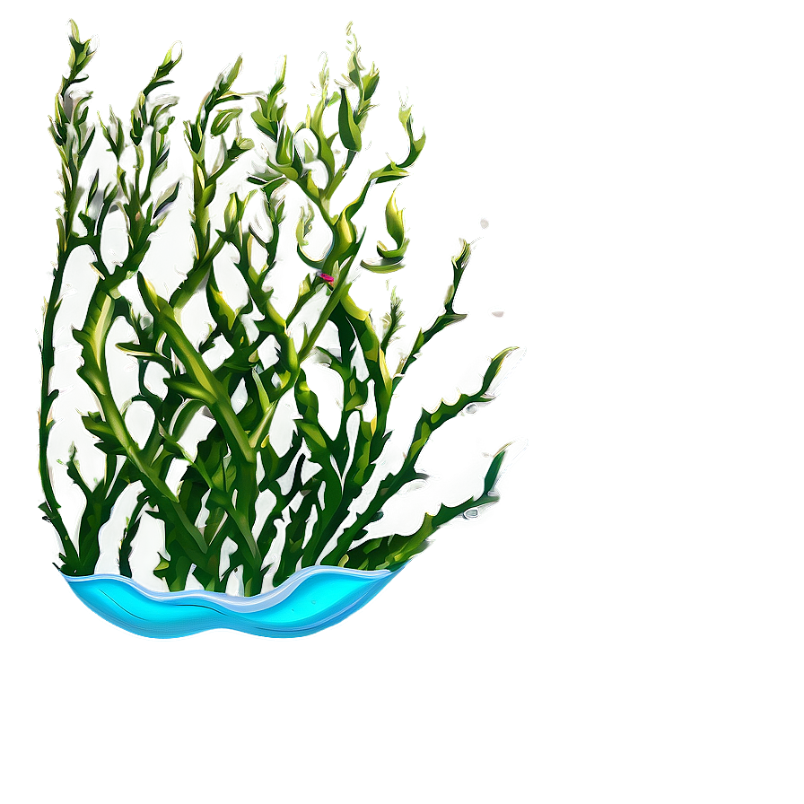 Seaweed Under Sea Png Uma67 PNG Image