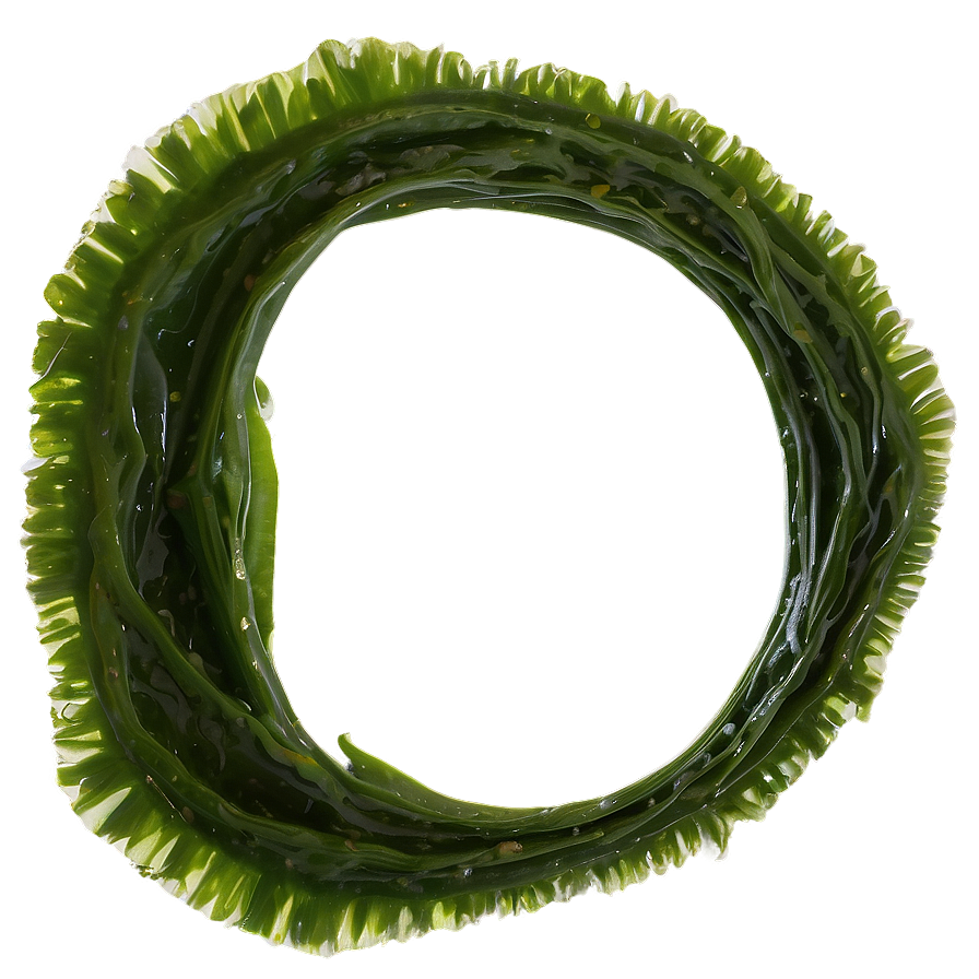 Seaweed Vegan Food Png 94 PNG Image