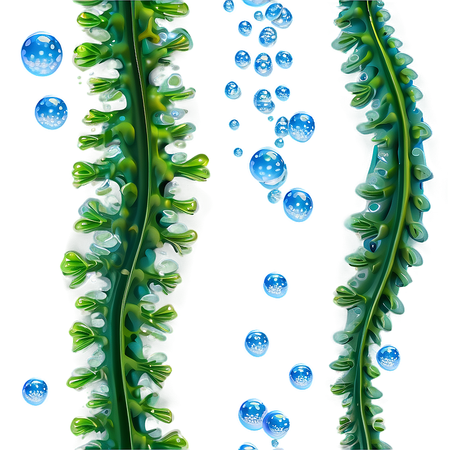 Seaweed With Bubbles Png Rab44 PNG Image