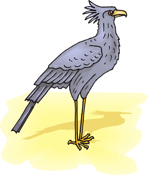 Secretary Bird Illustration PNG Image