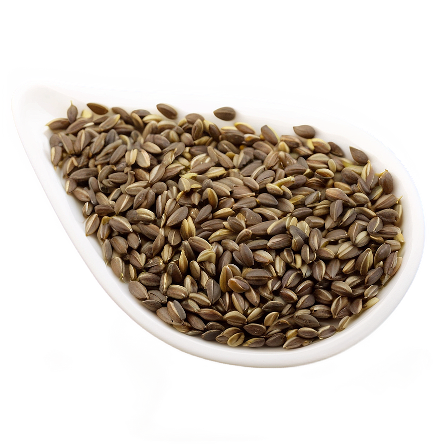 Seed A PNG Image