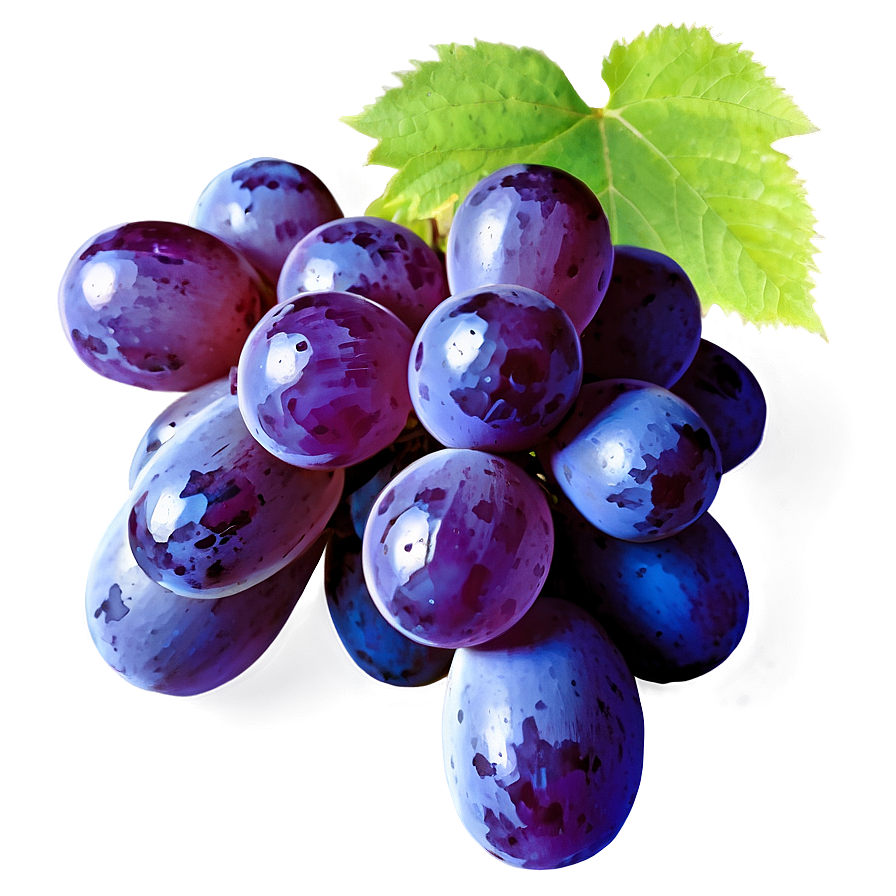 Seedless Grape Png 39 PNG Image