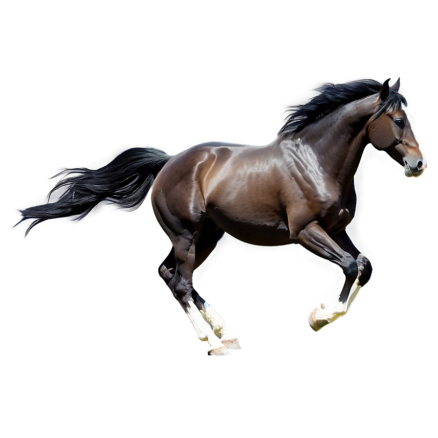 Serene Mustang Horse Meadow Png 37 PNG Image