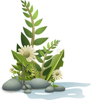 Serene Nature Vector Illustration PNG Image