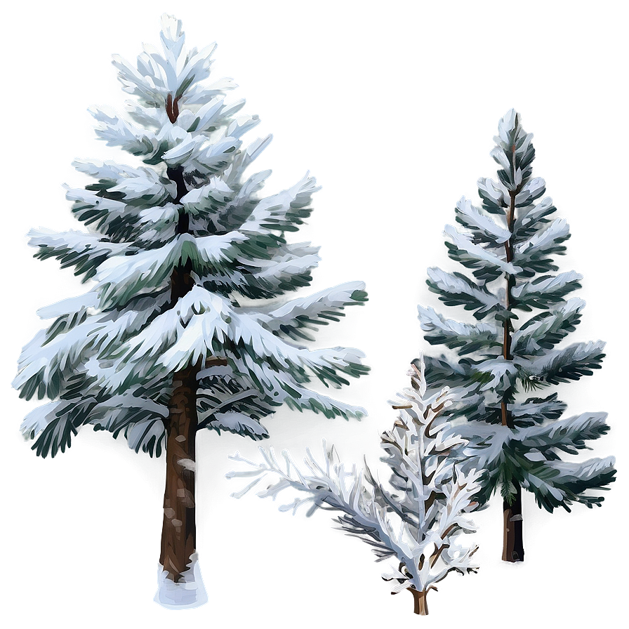 Serene Snowy Pine Tree Png Fky PNG Image