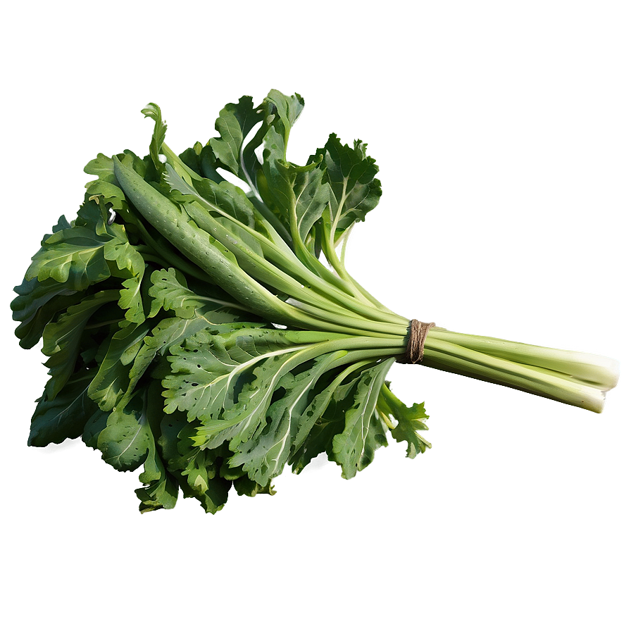 Shade-grown Vegetables Png Rga PNG Image