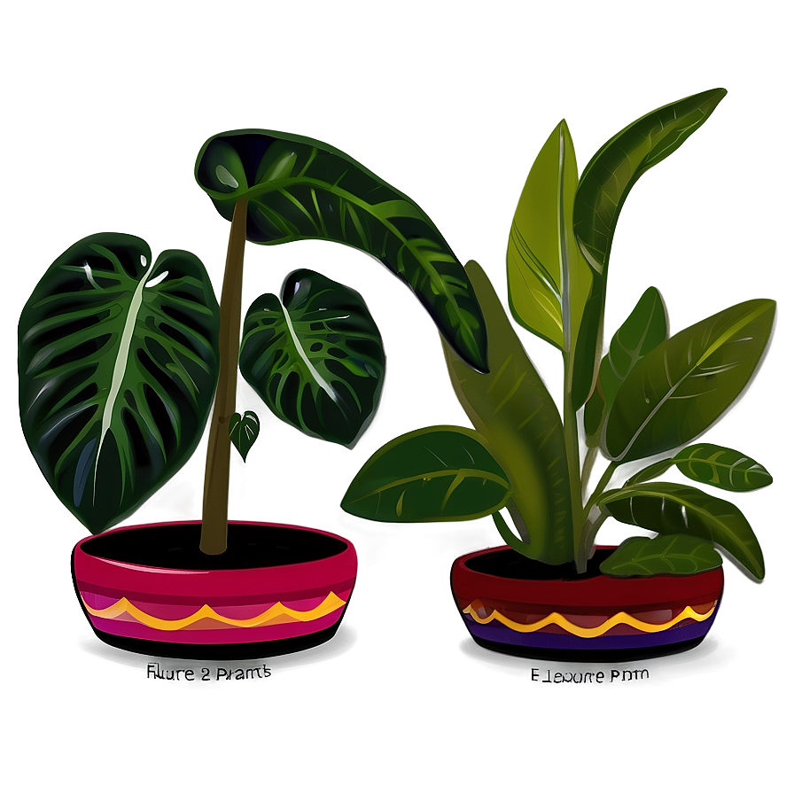 Shade Loving Plants Png 13 PNG Image