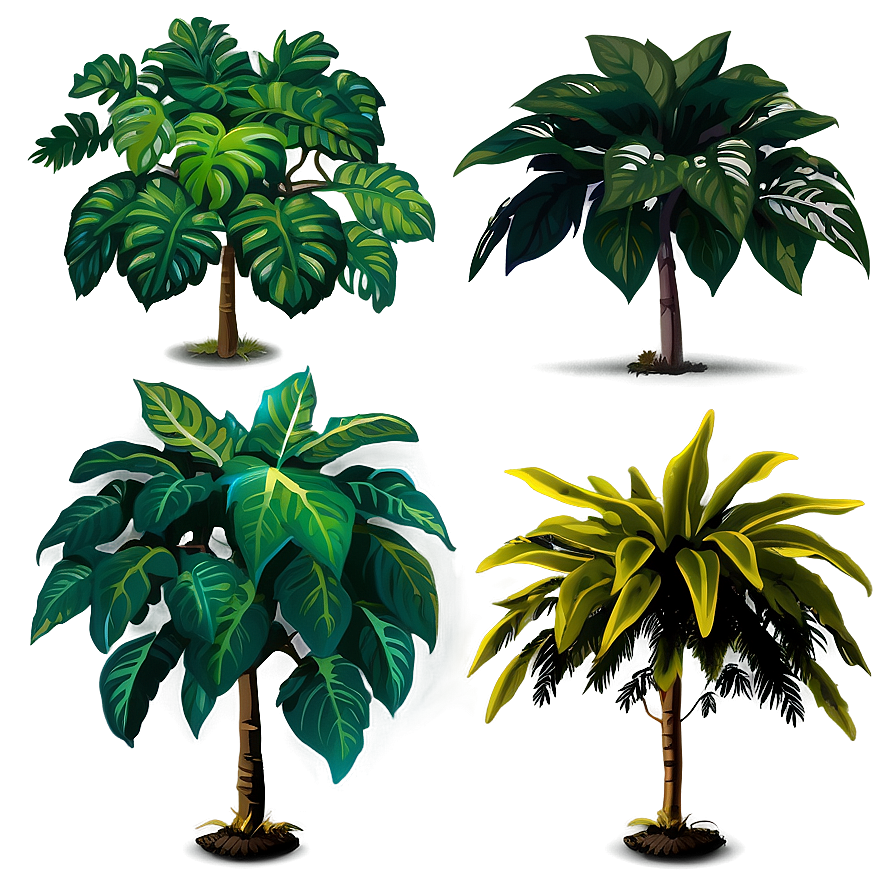 Shade Loving Plants Png Akx PNG Image