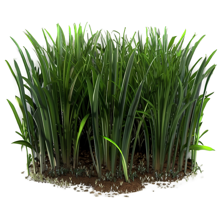 Shaded Grass Patch Png Iml6 PNG Image