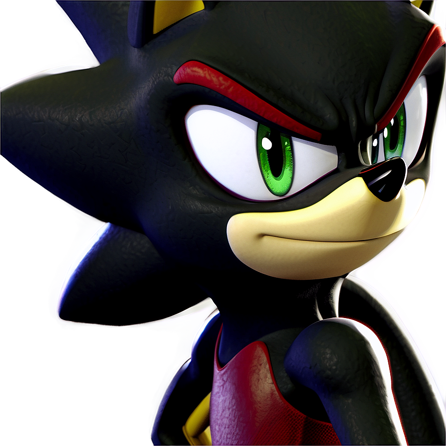 Shadow The Hedgehog Profile Png Nlh PNG Image