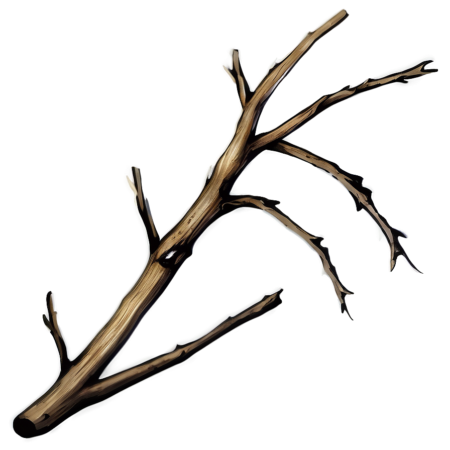 Shadowed Twig Png 06132024 PNG Image