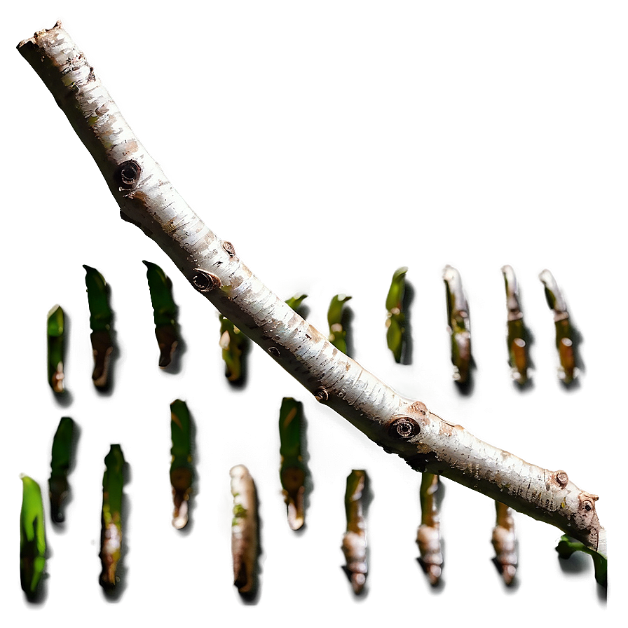 Shadowed Twig Png Mir PNG Image