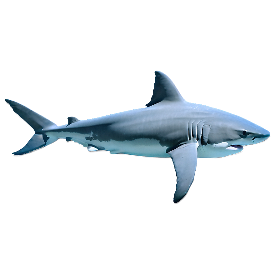 Shark Cage Diving Png Ird PNG Image