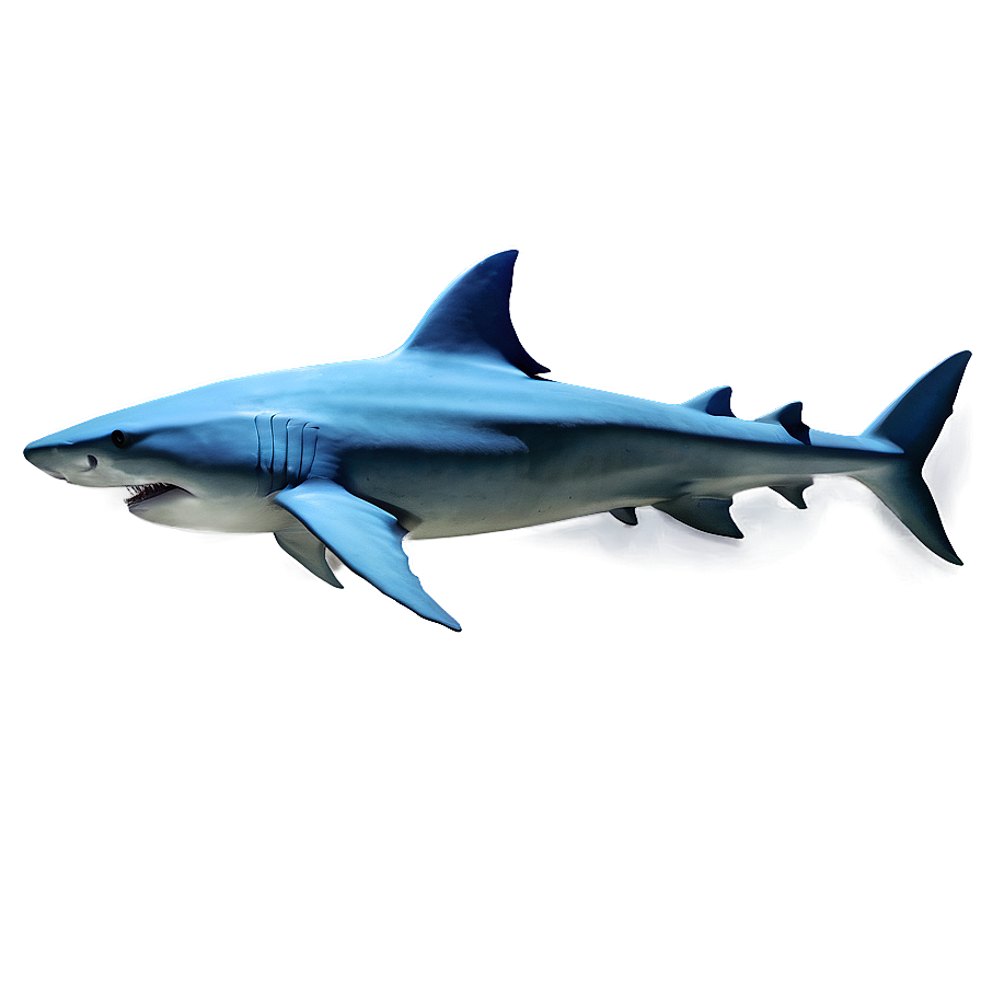 Shark Illustration Png Uux PNG Image