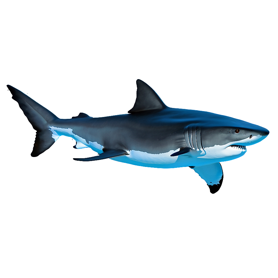 Shark In Water Png 28 PNG Image